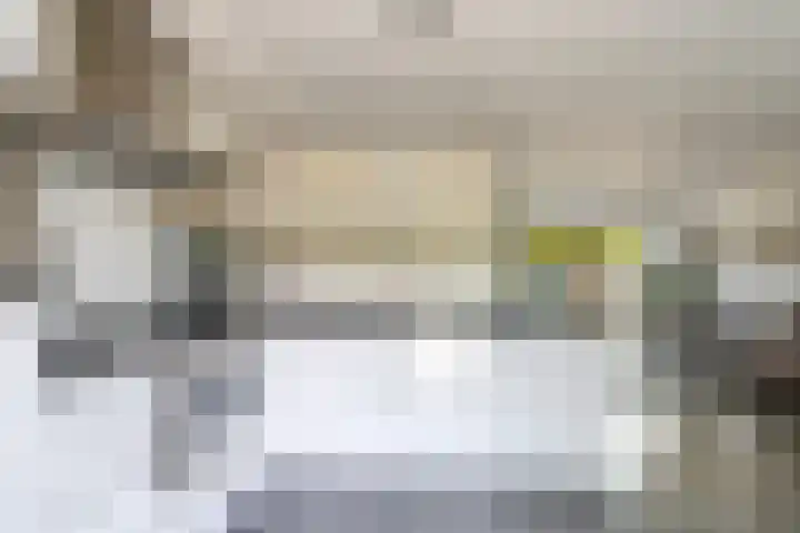 De Peppelpas 9 Zetten thumbnail 21