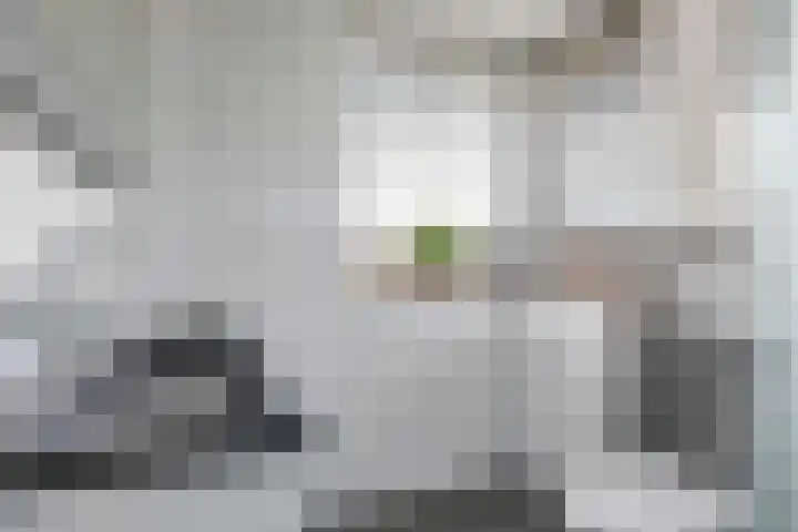 De Peppelpas 9 Zetten thumbnail 33