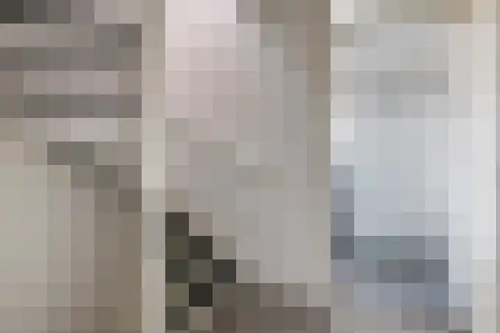 De Peppelpas 9 Zetten thumbnail 38