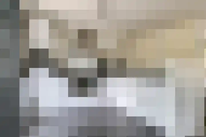 De Peppelpas 9 Zetten thumbnail 4