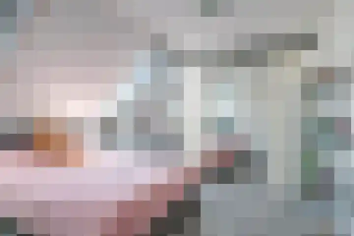 De Peppelpas 9 Zetten thumbnail 43