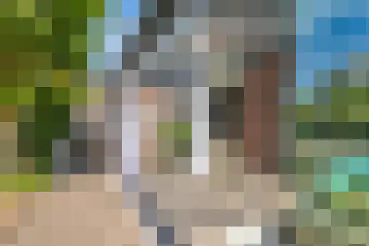 De Peppelpas 9 Zetten thumbnail 54