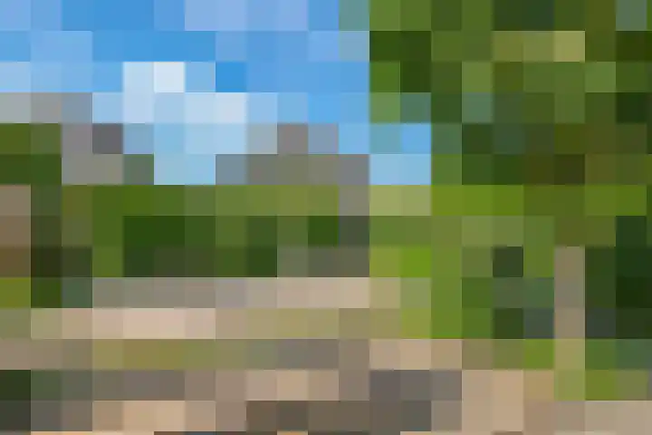 De Peppelpas 9 Zetten thumbnail 59