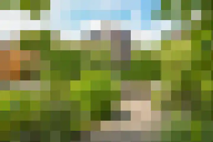 De Peppelpas 9 Zetten thumbnail 60