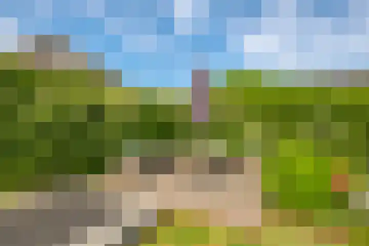 De Peppelpas 9 Zetten thumbnail 61