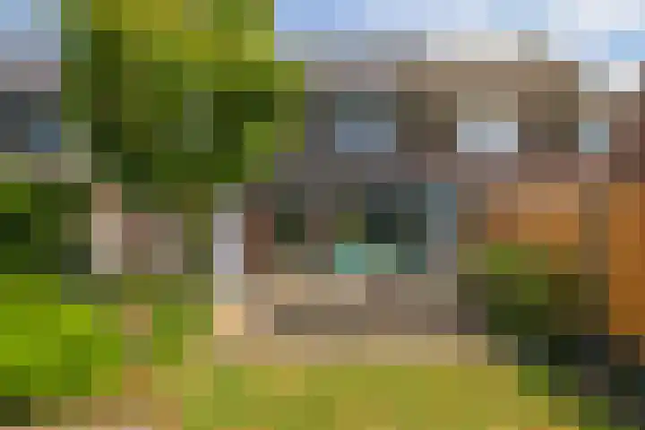 De Peppelpas 9 Zetten thumbnail 64