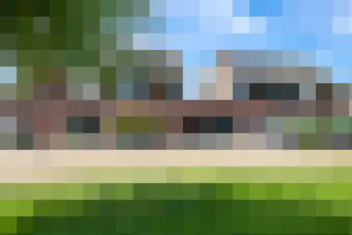 De Peppelpas 9 Zetten thumbnail 7