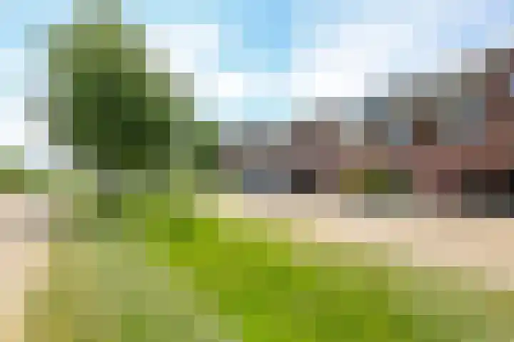 De Peppelpas 9 Zetten thumbnail 72
