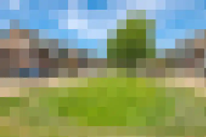 De Peppelpas 9 Zetten thumbnail 73