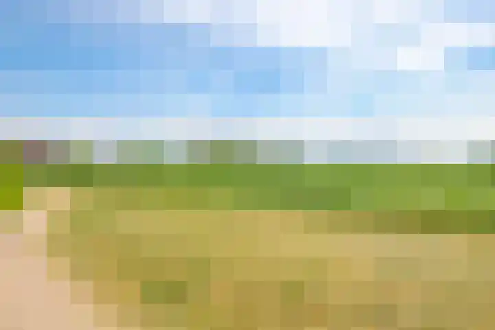 De Peppelpas 9 Zetten thumbnail 74