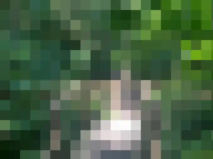 De Peppelpas 9 Zetten thumbnail 80