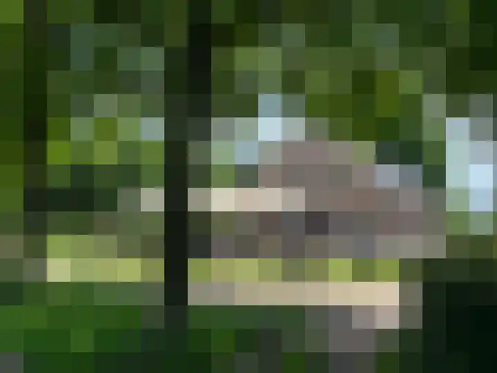 De Peppelpas 9 Zetten thumbnail 81