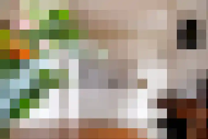 De Perk 4 Beilen thumbnail 11