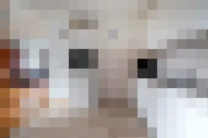 De Perk 4 Beilen thumbnail 15