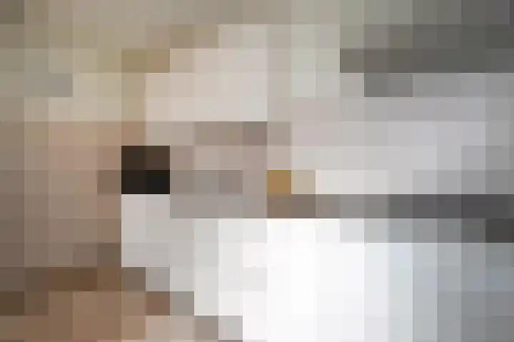De Perk 4 Beilen thumbnail 16