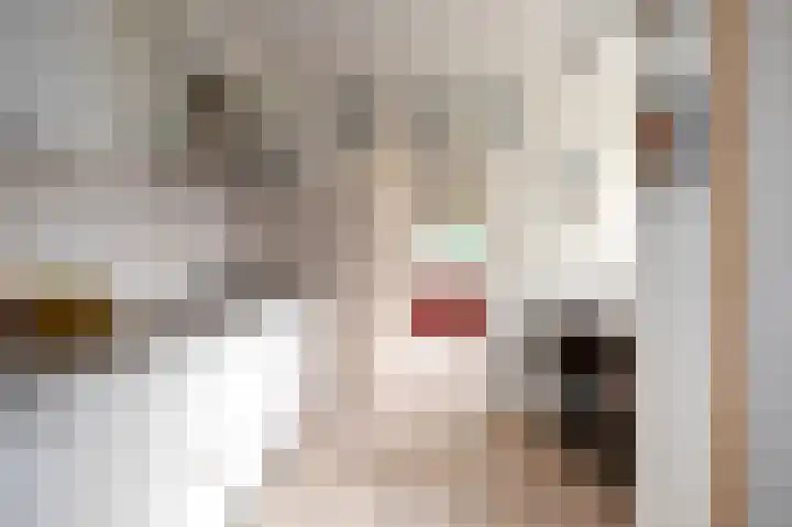 De Perk 4 Beilen thumbnail 18