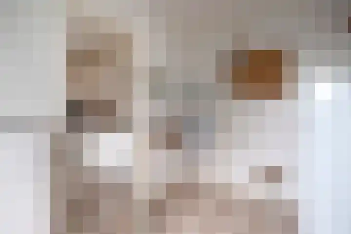 De Perk 4 Beilen thumbnail 19