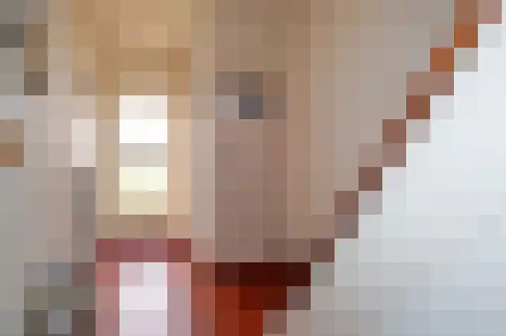 De Perk 4 Beilen thumbnail 22