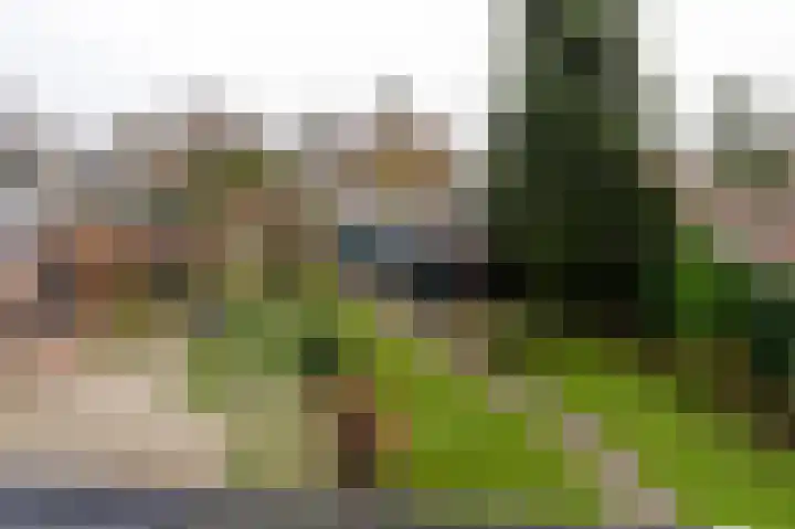 De Perk 4 Beilen thumbnail 30
