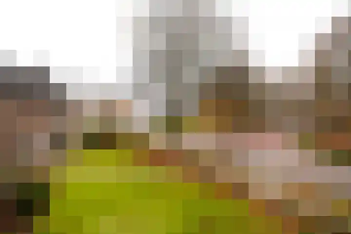 De Perk 4 Beilen thumbnail 35