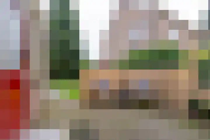 De Perk 4 Beilen thumbnail 41