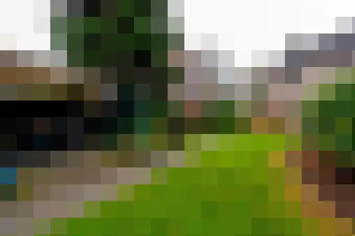 De Perk 4 Beilen thumbnail 44