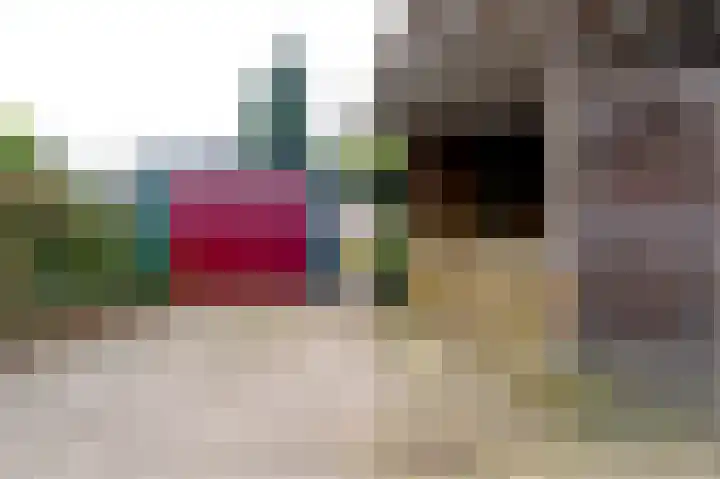 De Perk 4 Beilen thumbnail 45