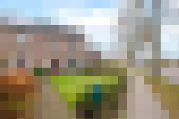 De Perk 4 Beilen thumbnail 47