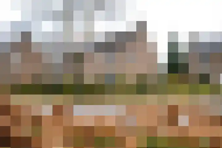 De Perk 4 Beilen thumbnail 49