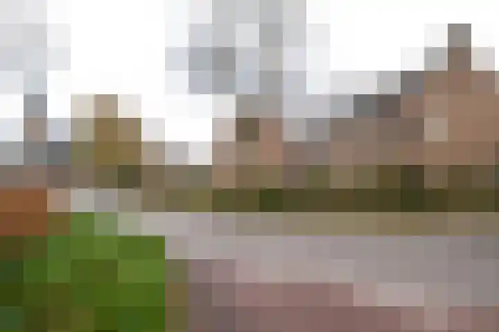 De Perk 4 Beilen thumbnail 50