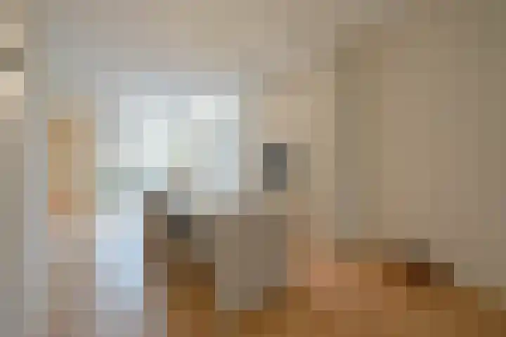 De Perponcherstraat 32 Den Haag thumbnail 13