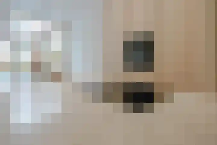 De Perponcherstraat 32 Den Haag thumbnail 18