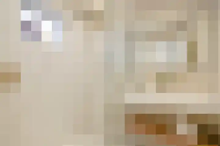 De Perponcherstraat 32 Den Haag thumbnail 35