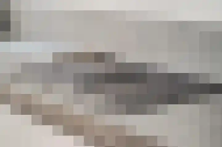 De Perserij 6 Tiel thumbnail 13