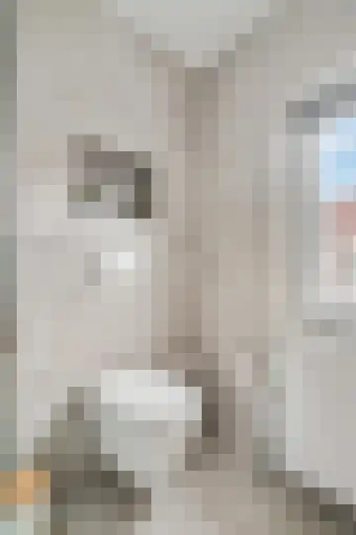 De Perserij 6 Tiel thumbnail 28
