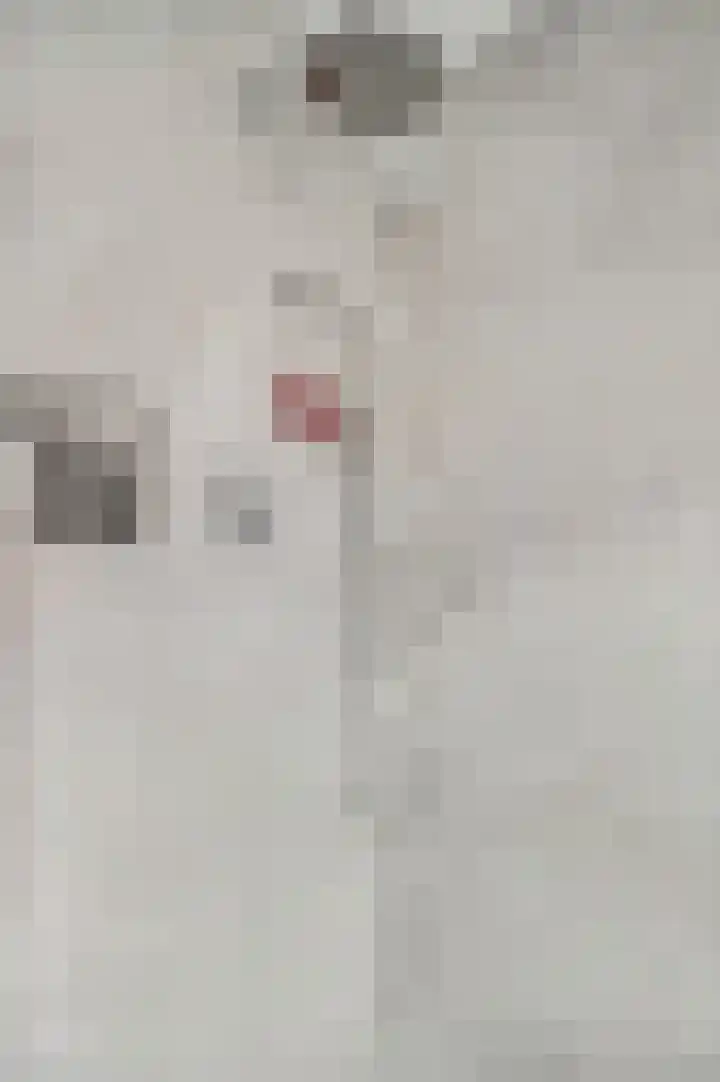 De Perserij 6 Tiel thumbnail 29