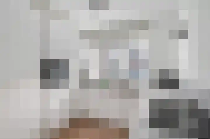 De Perserij 6 Tiel foto 3