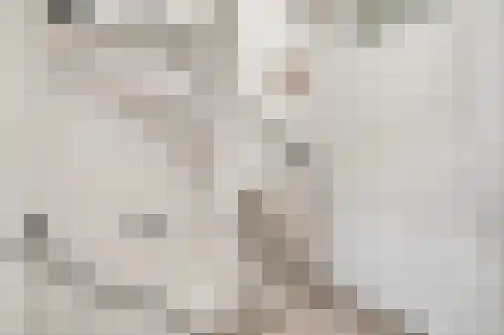 De Perserij 6 Tiel thumbnail 30