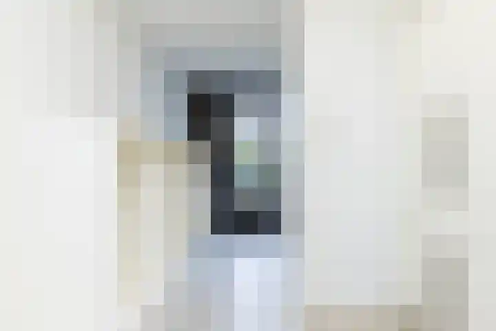 De Ping 25 Nuth thumbnail 13