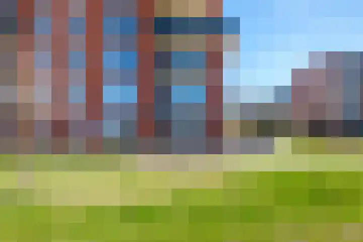 De Pionier 14 Dronten thumbnail 11