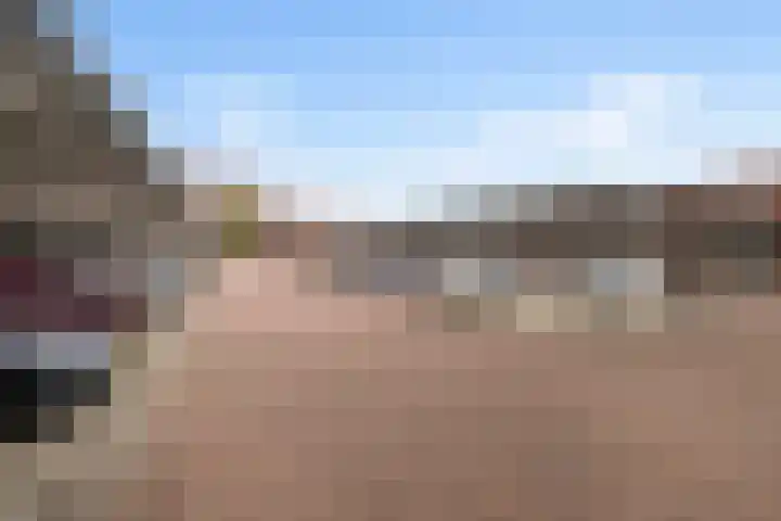 De Pionier 14 Dronten thumbnail 17