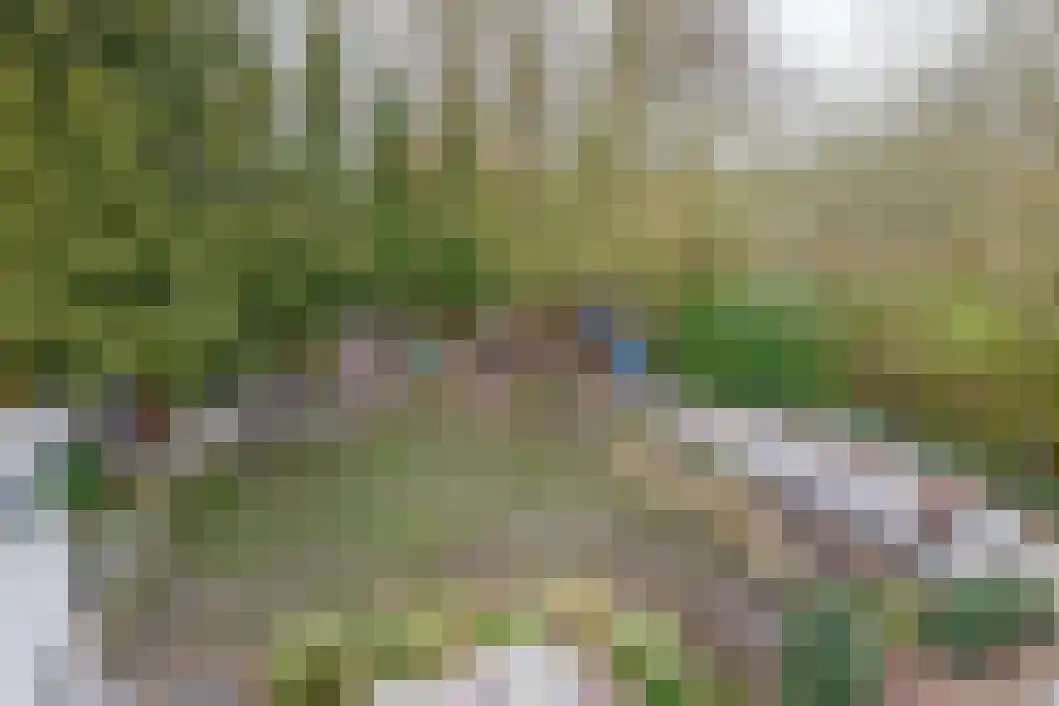 De Pionier 14 Dronten thumbnail 25