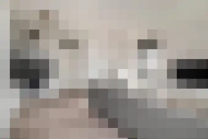 De Pionier 14 Dronten thumbnail 4