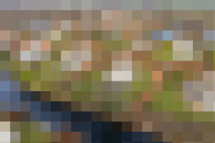 De Pionier 14 Dronten thumbnail 6