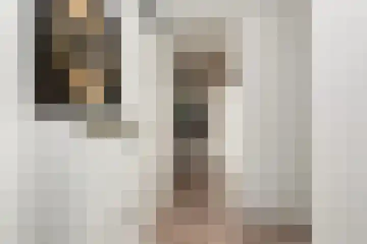 De Pionier 14 Dronten thumbnail 6