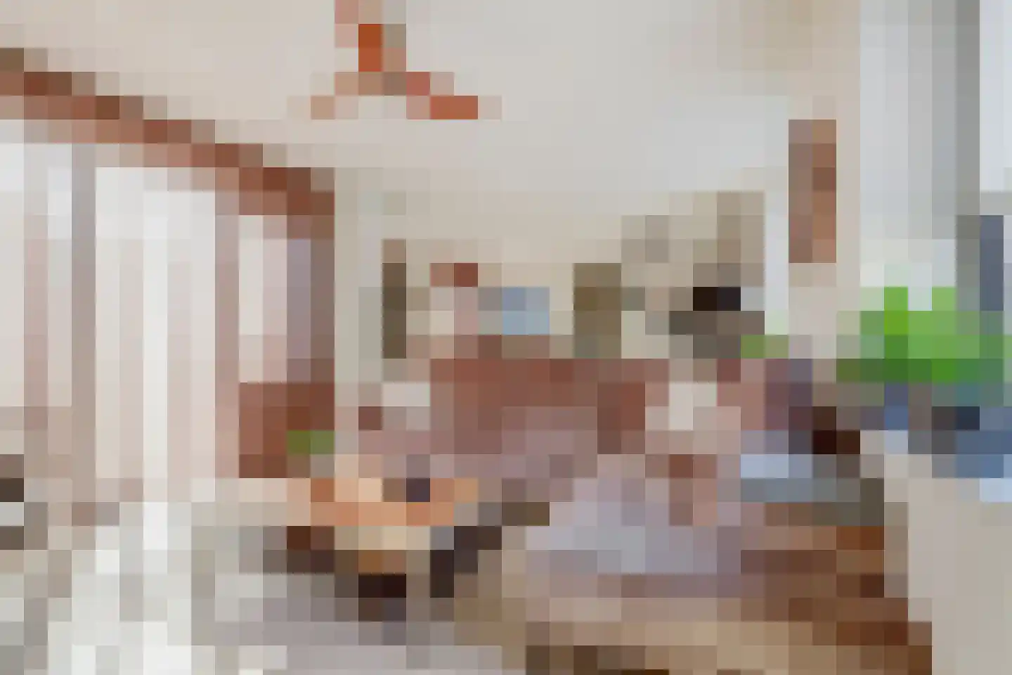 De Pionier 58 Dronten thumbnail 15