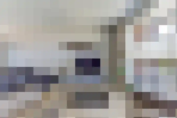 De Pionier 8 Dronten thumbnail 10