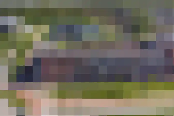 De Pionier 8 Dronten thumbnail 38