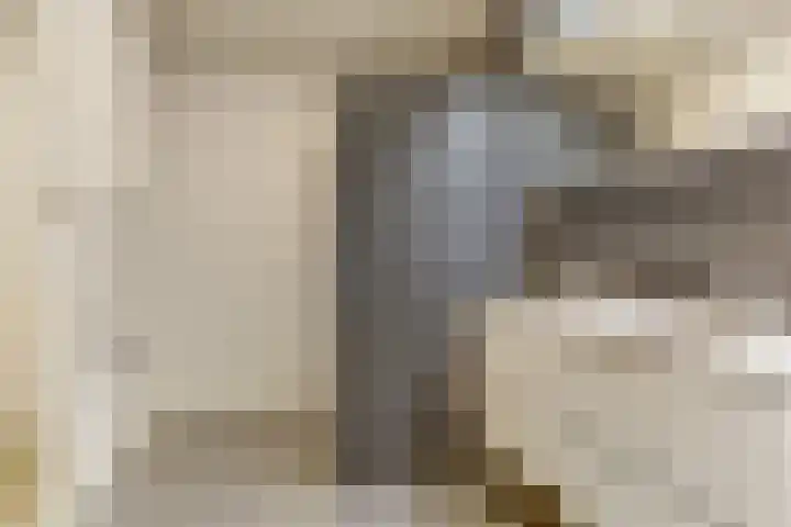 De Pionier 8 Dronten thumbnail 4