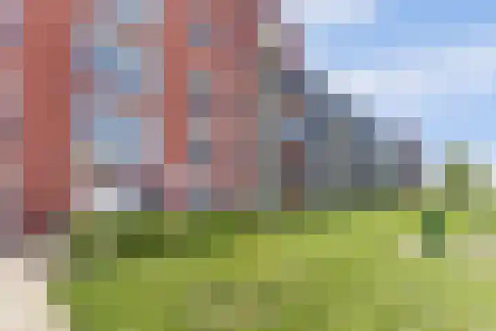 De Pionier 8 Dronten thumbnail 43